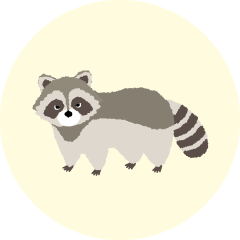 アライグマ